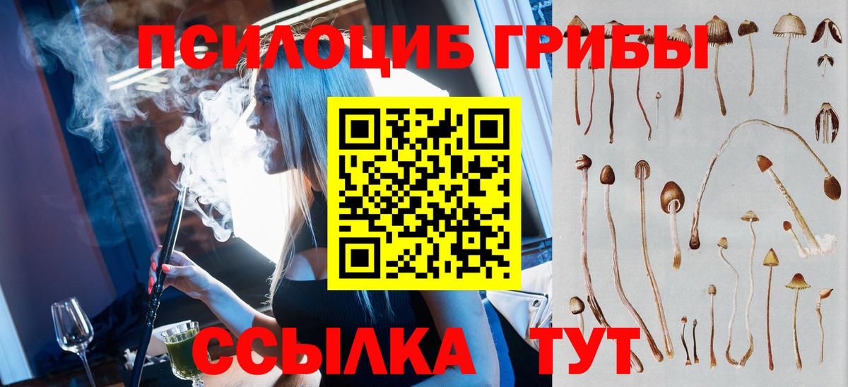Галлюциногенные грибы GOLDEN TEACHER Семилуки