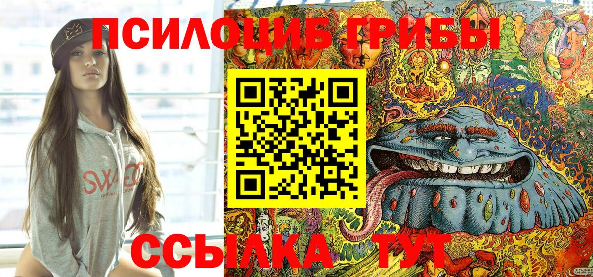 Галлюциногенные грибы Cubensis  закладки  Вход с VPN  Семилуки  Псилоцибиновые грибы Cubensis 
